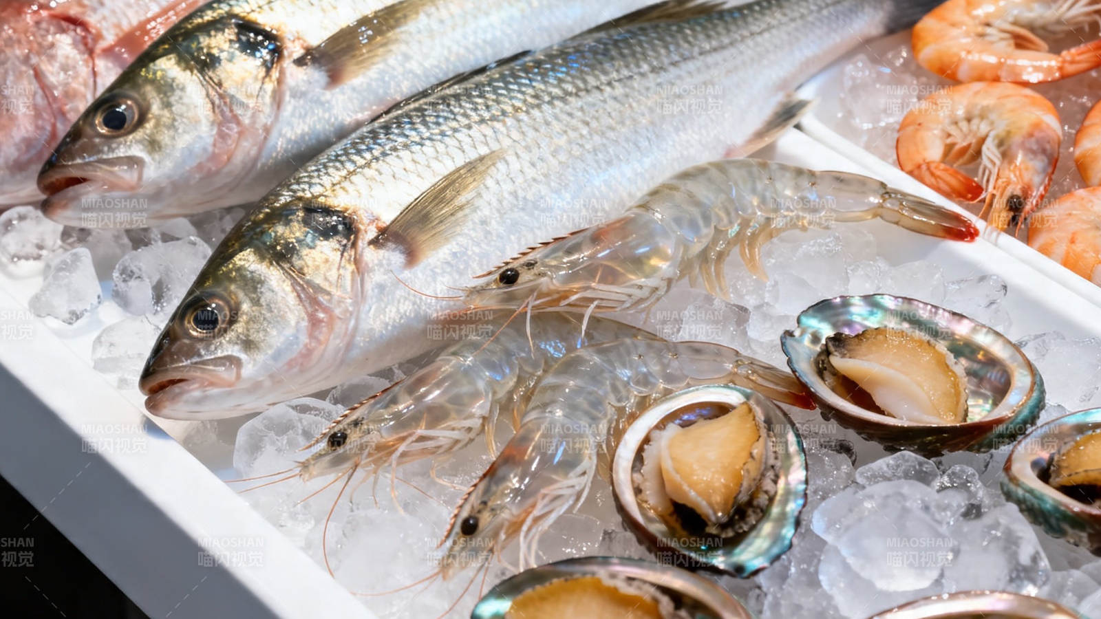 冰鲜海产 鱼虾贝类陈列图片