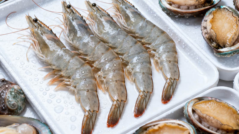 鲜虾鲍鱼拼盘 海鲜盛宴图片