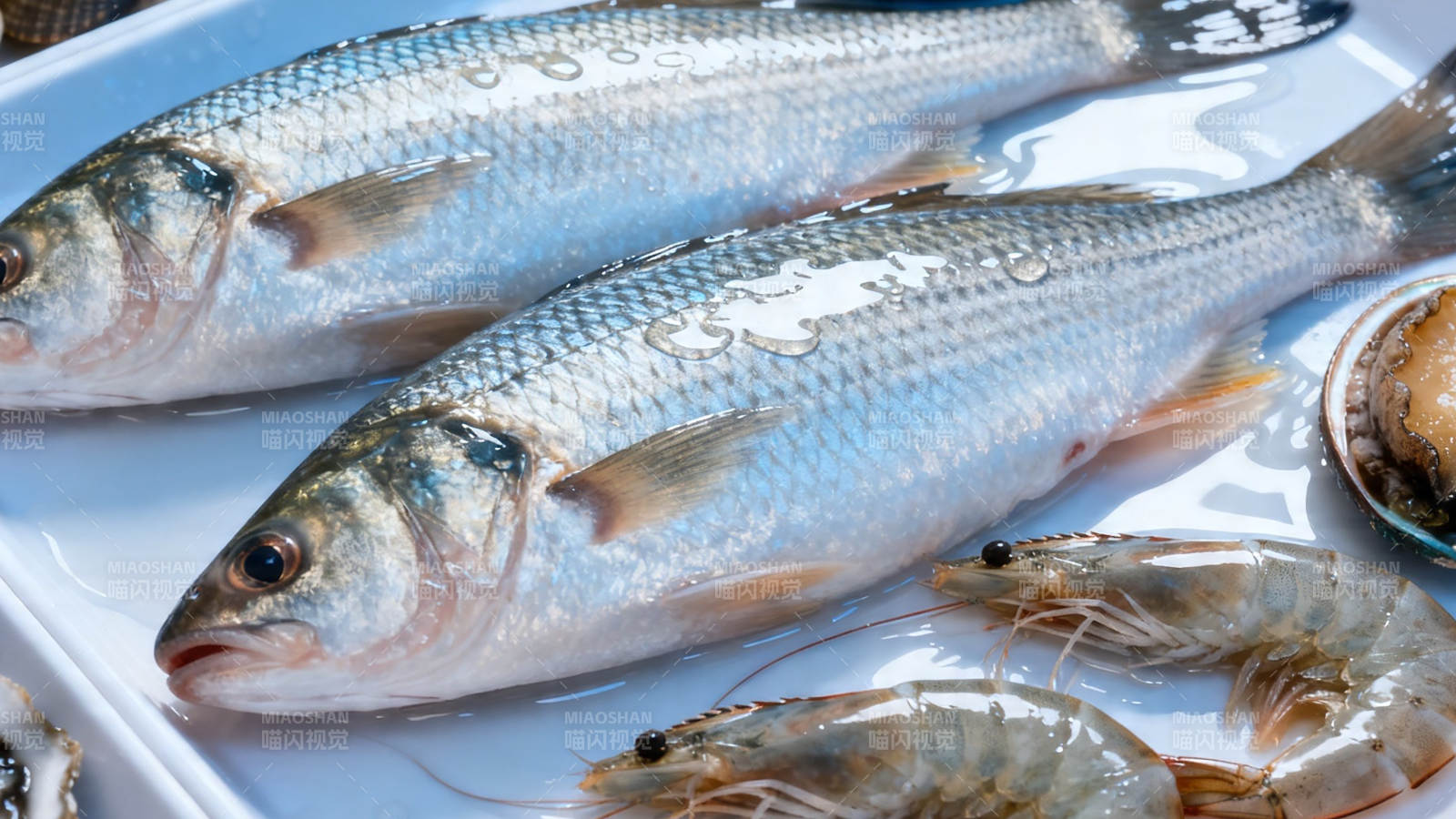 鲜鱼虾贝 海味十足图片