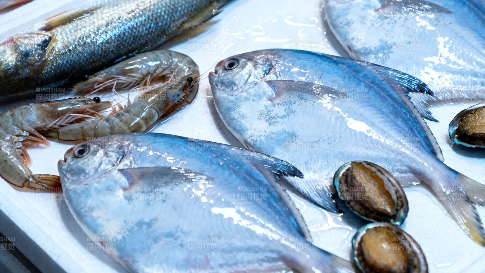新鲜海产 鱼虾贝类齐全图片