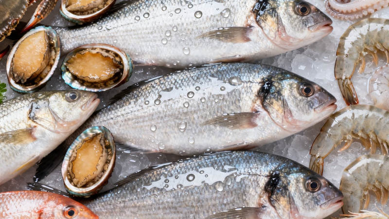 冰鲜海产 鱼虾鲍鱼琳琅满目图片