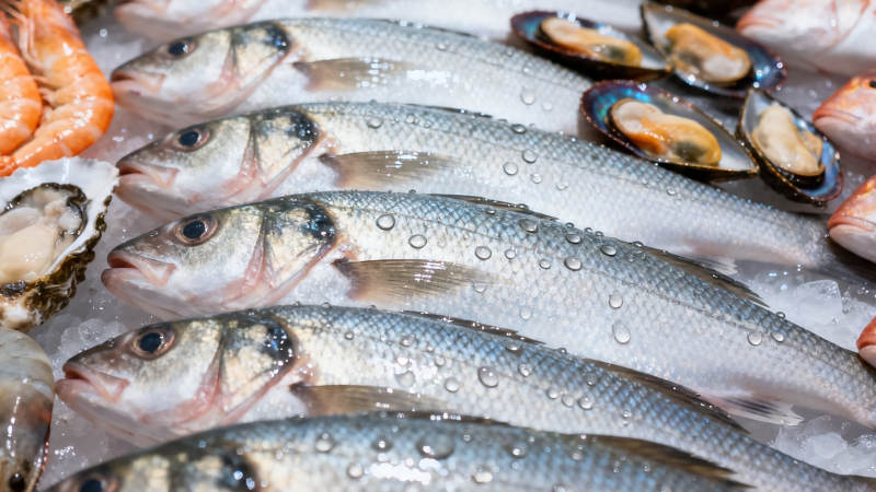 冰鲜海鱼配贝类 新鲜诱人图片