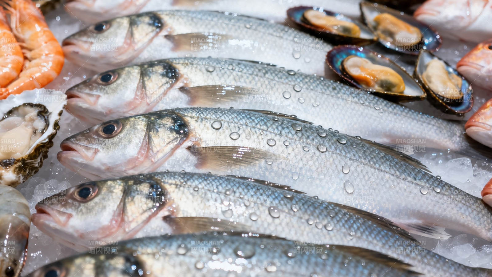 冰鲜海鱼配贝类 新鲜诱人图片