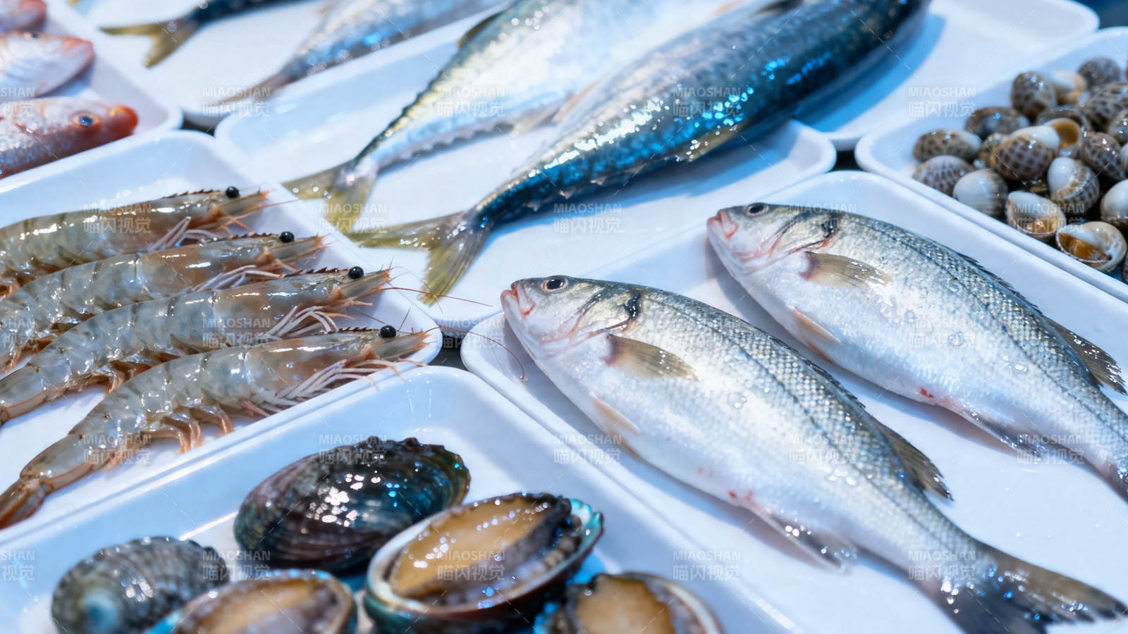 新鲜海产琳琅满目图片