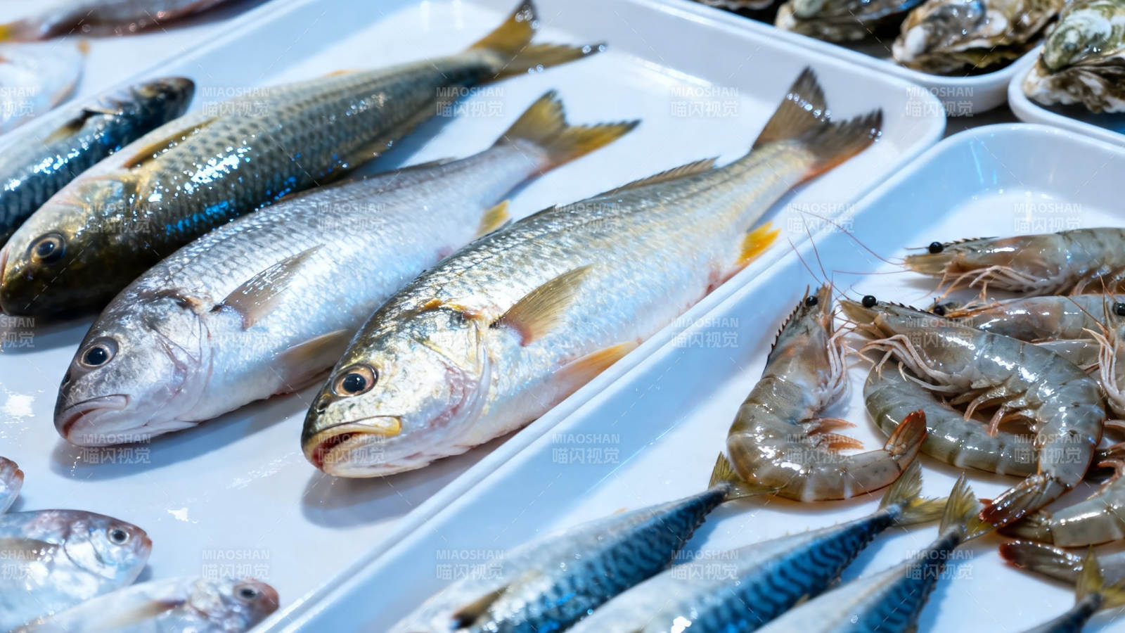 新鲜海鱼虾市场陈列图片