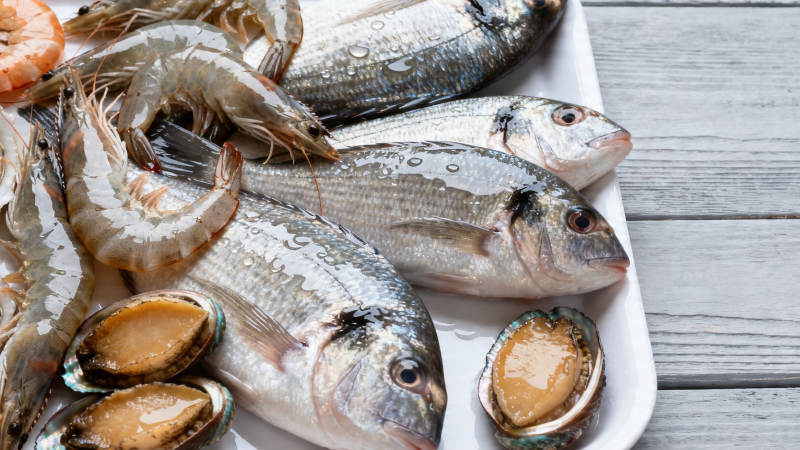 新鲜海产拼盘 鱼虾鲍鱼图片