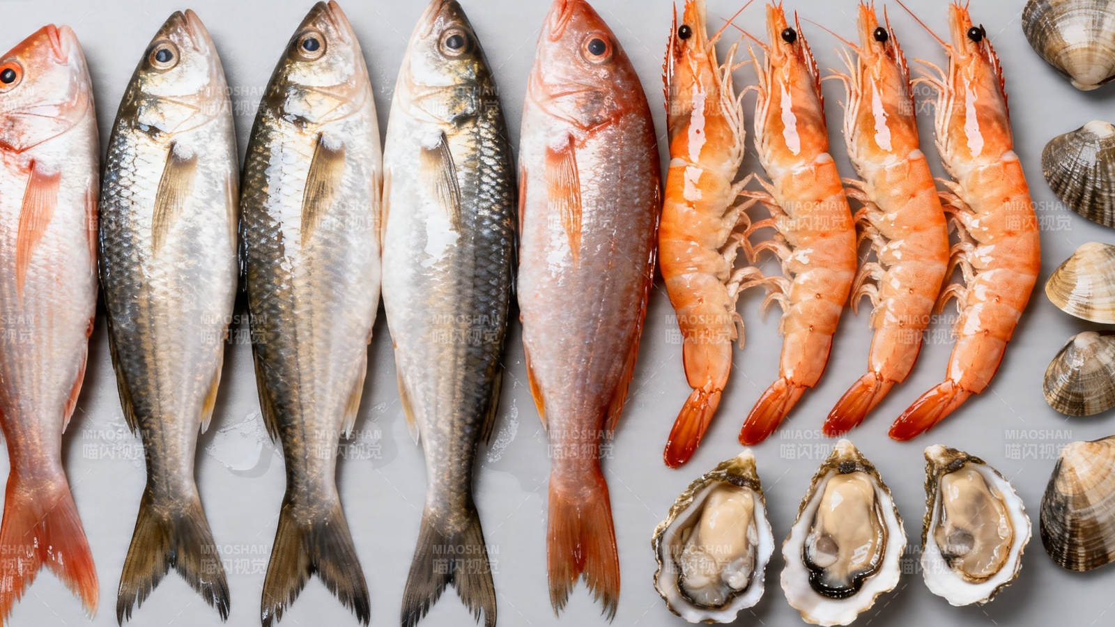 海鲜盛宴 鱼虾贝类齐聚图片