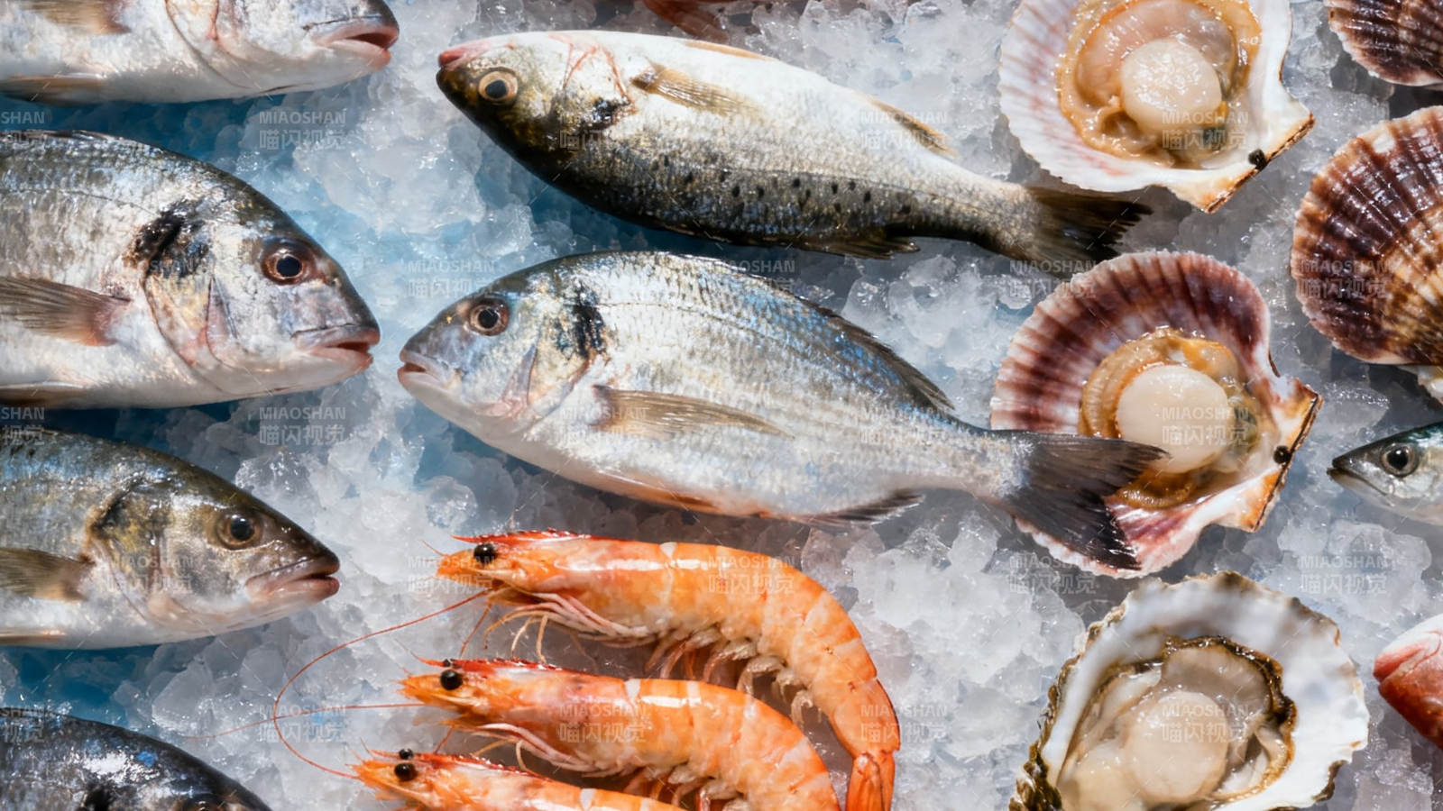 冰鲜海产 鱼虾贝类齐全图片