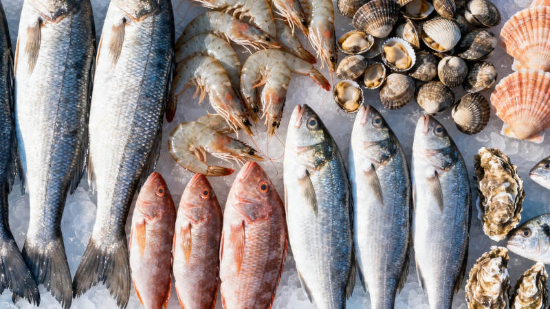 冰鲜海产大集合图片