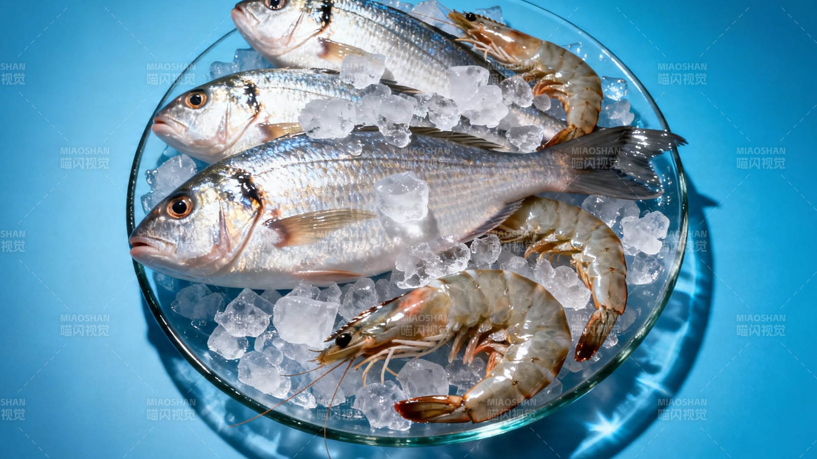 冰鲜鱼虾 清爽待烹图片