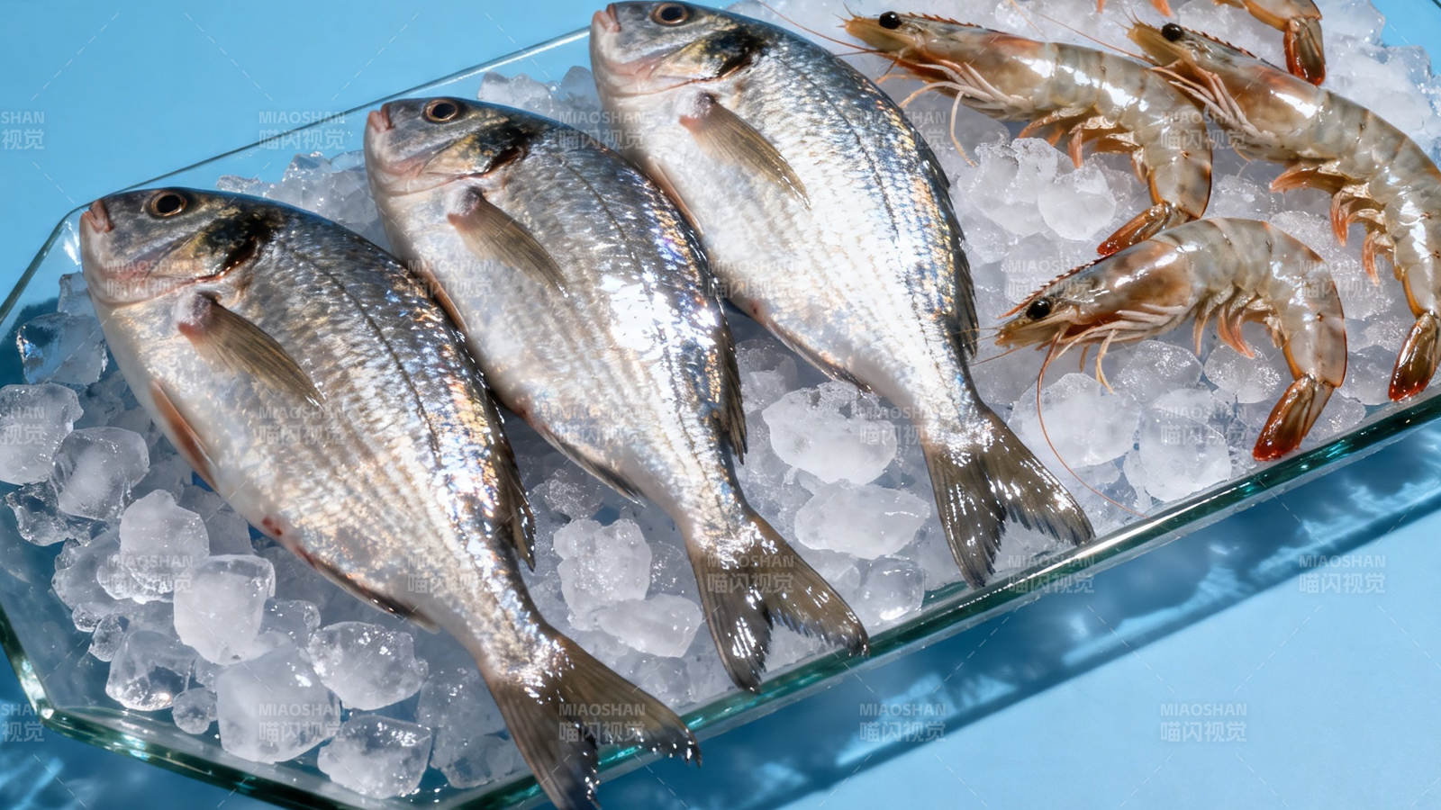 冰鲜鱼虾 清爽待烹图片