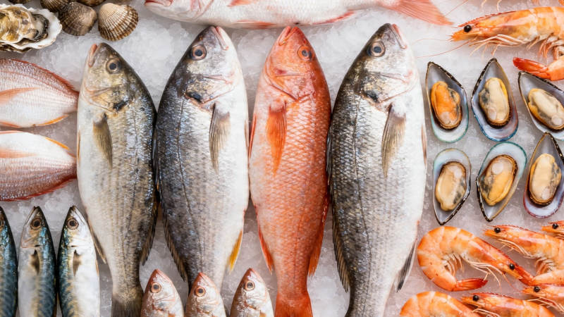 新鲜海产琳琅满目图片