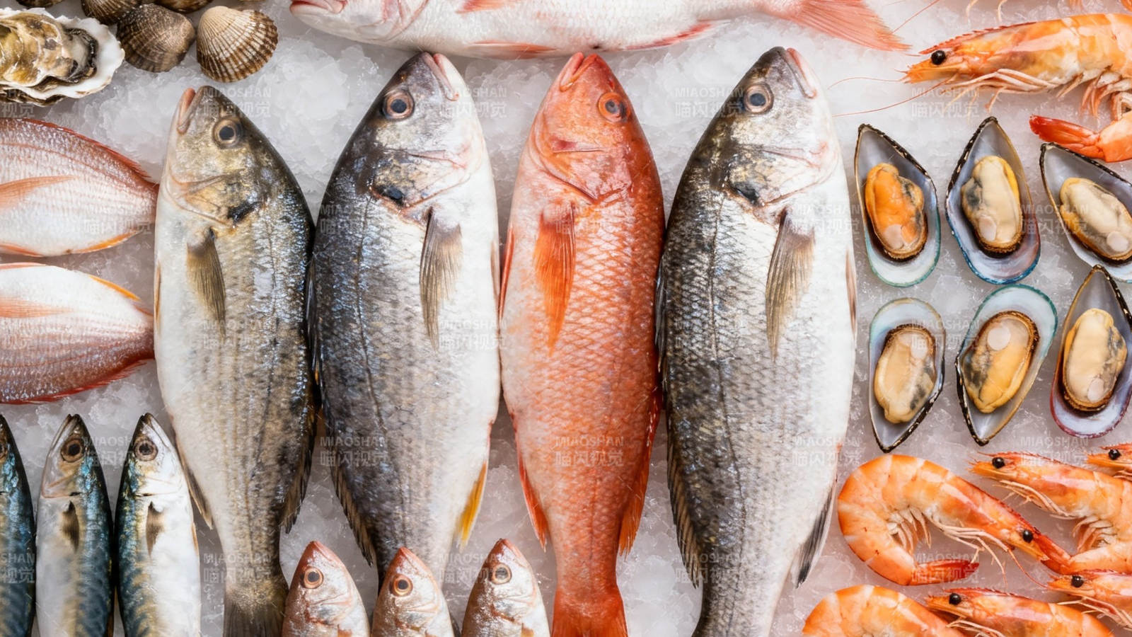 新鲜海产琳琅满目图片