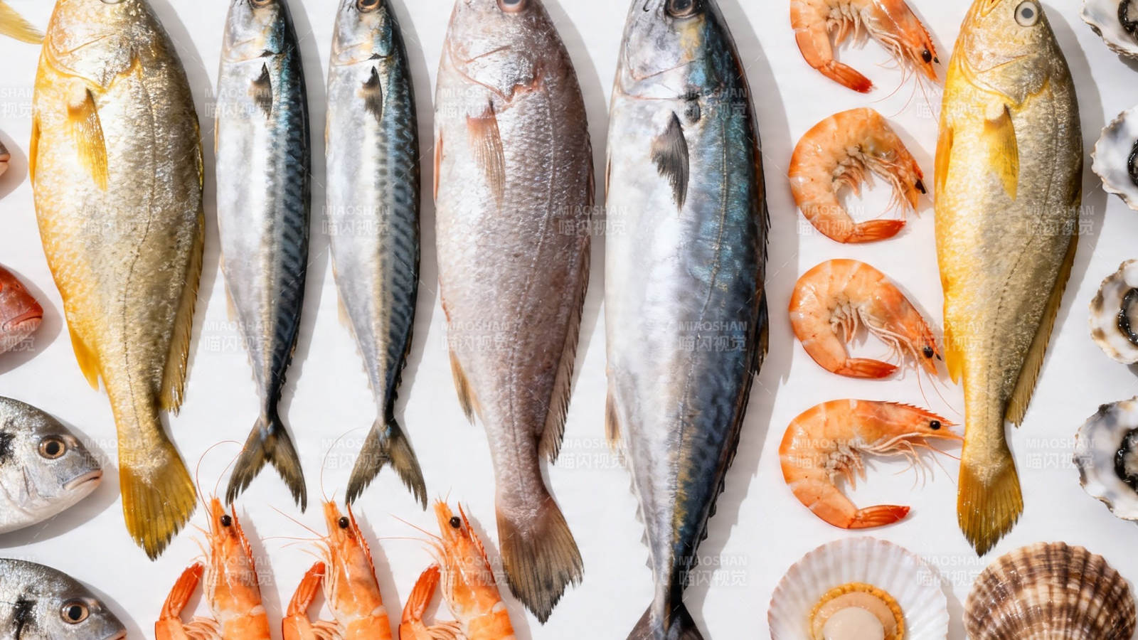 新鲜海鱼虾贝拼盘图片