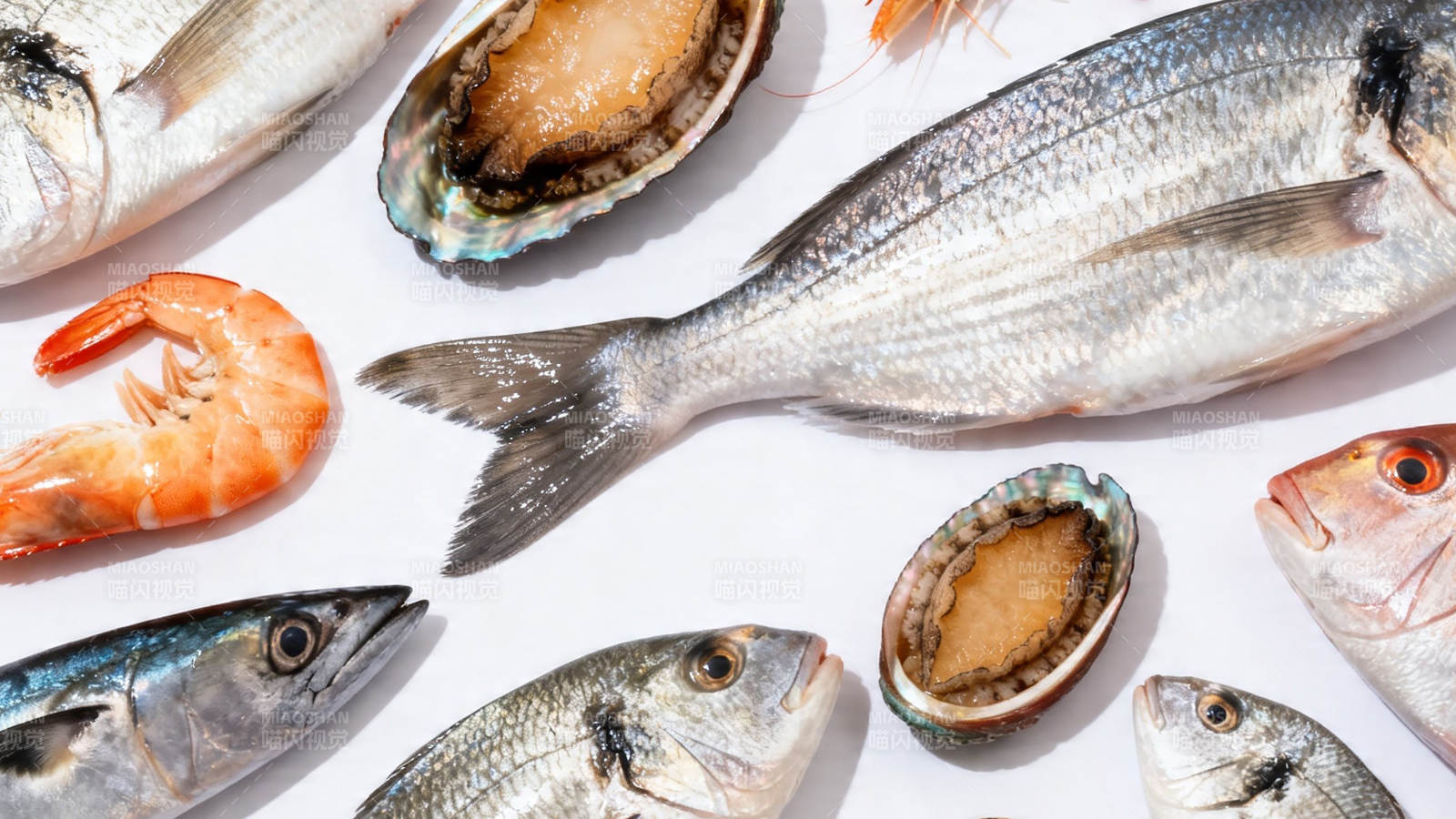 海鲜盛宴 鱼虾贝类齐聚图片