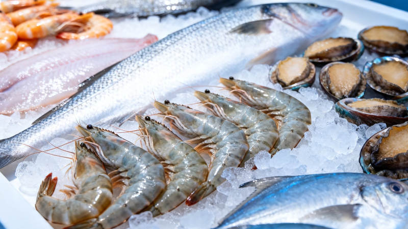 冰鲜海产盛宴 鱼虾贝俱全图片