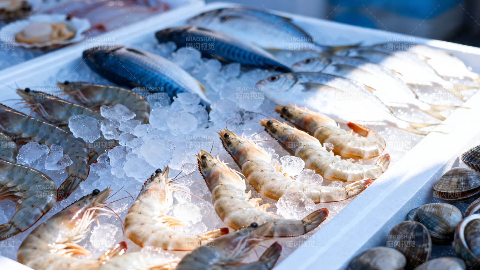 冰鲜海产琳琅满目图片