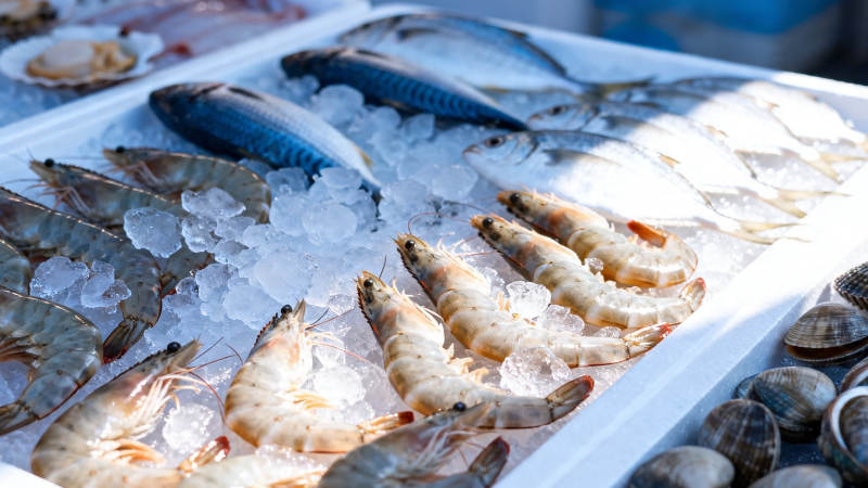 冰鲜海产琳琅满目图片