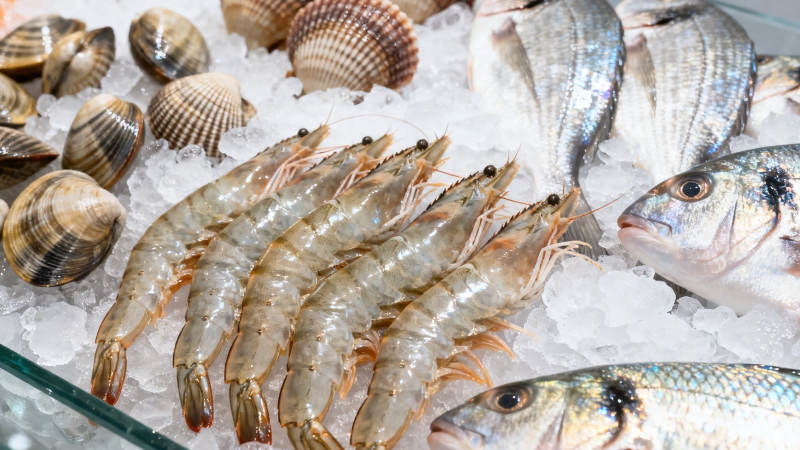 冰鲜海产 虾鱼贝类琳琅满目图片