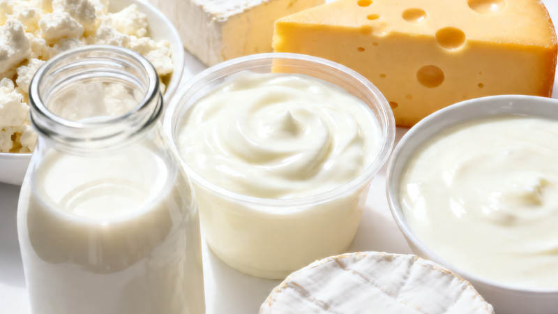 奶制品全家福 牛奶酸奶奶酪图片