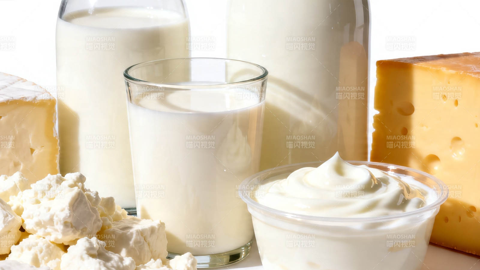奶制品全家福 牛奶奶酪酸奶图片