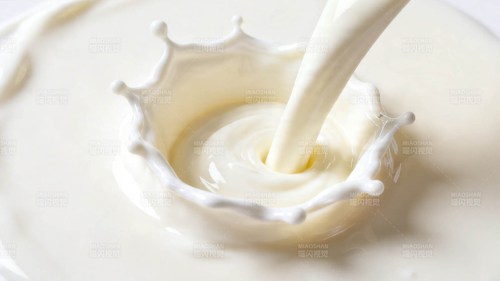 牛奶倾注 溅起乳白浪花图片