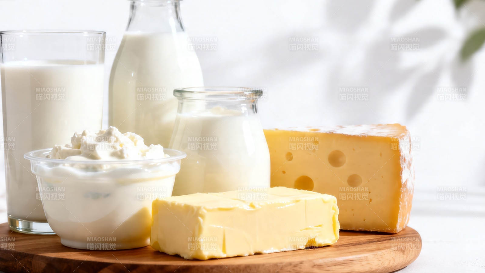 奶制品全家福 牛奶奶酪黄油酸奶图片