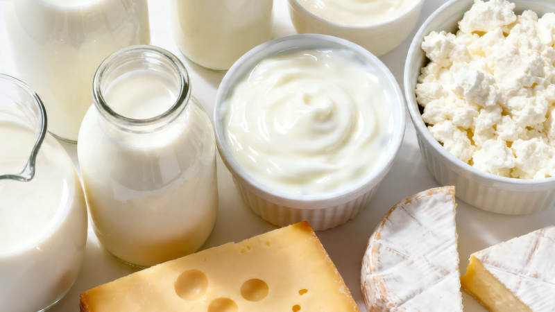 奶制品全家福 牛奶酸奶奶酪图片