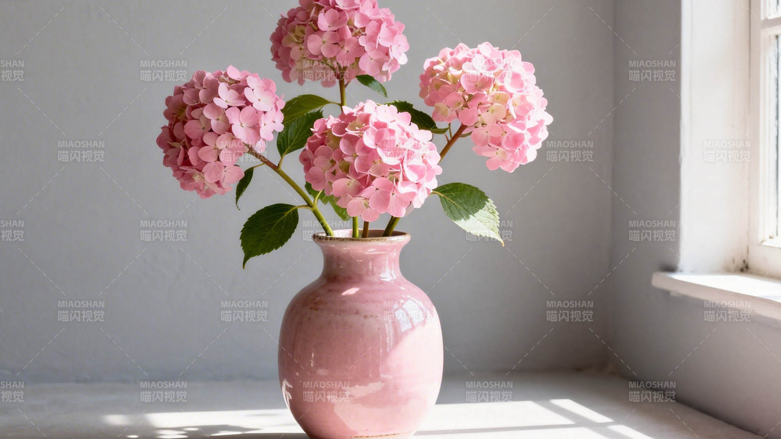 粉绣球静置窗台花瓶中图片