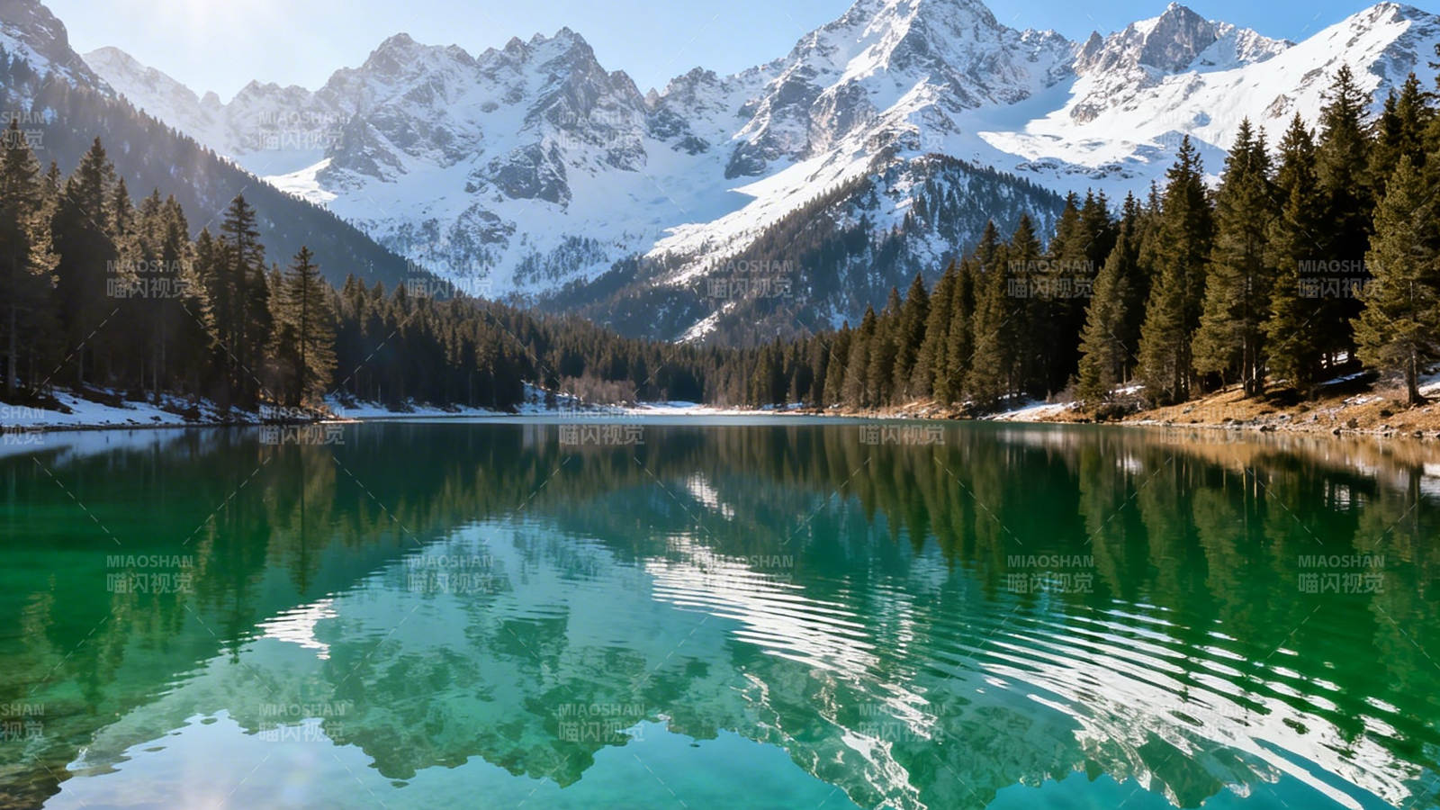 雪山倒映碧湖 松林环抱静美图片