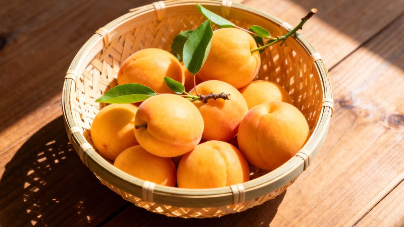 竹篮盛杏 阳光暖香图片