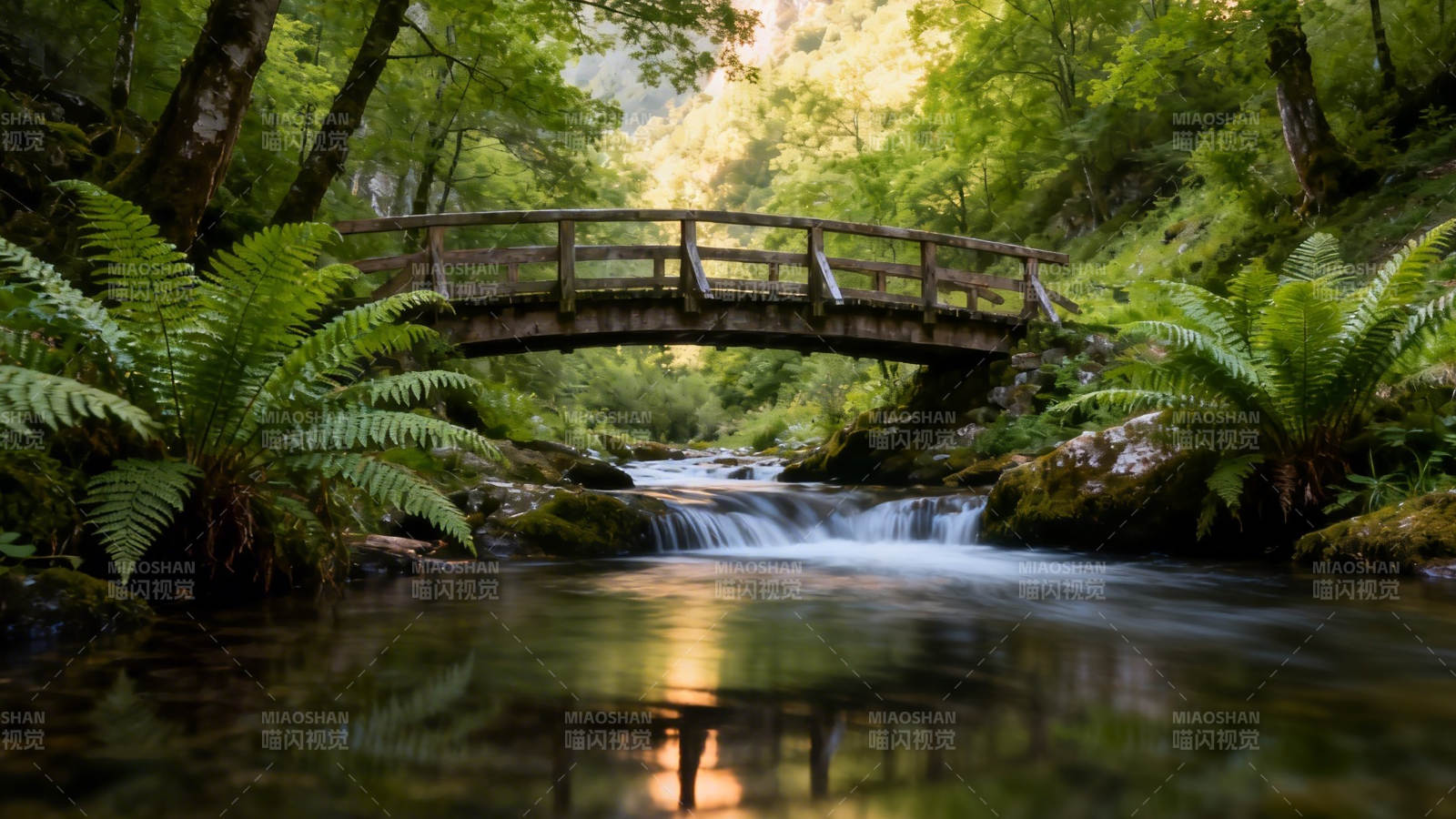 林间小桥流水 绿意盎然图片