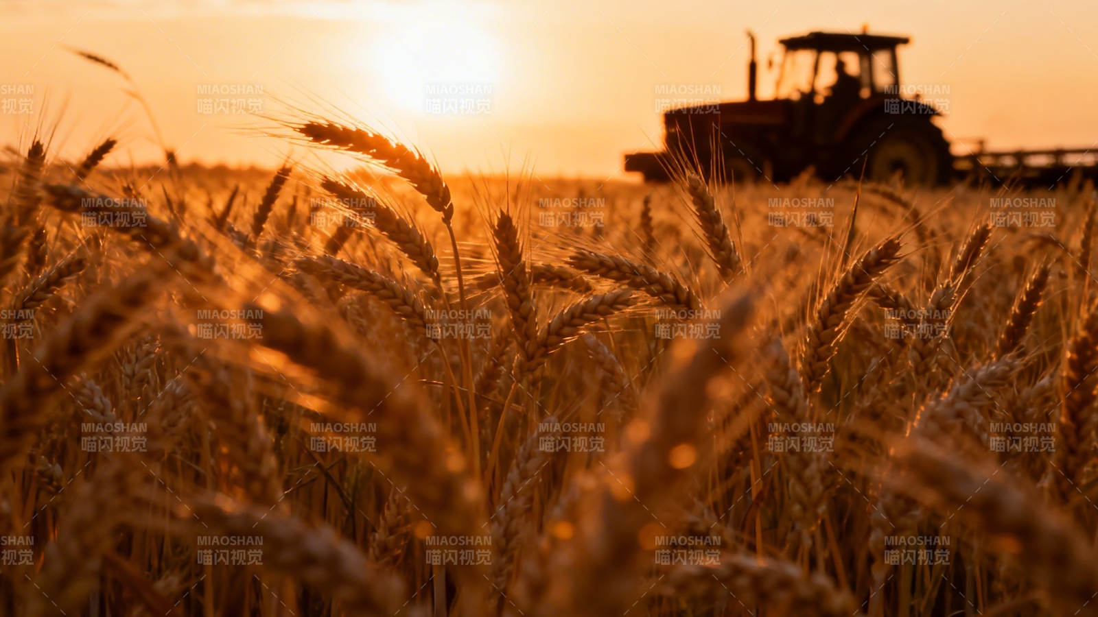 夕阳麦田 拖拉机剪影图片