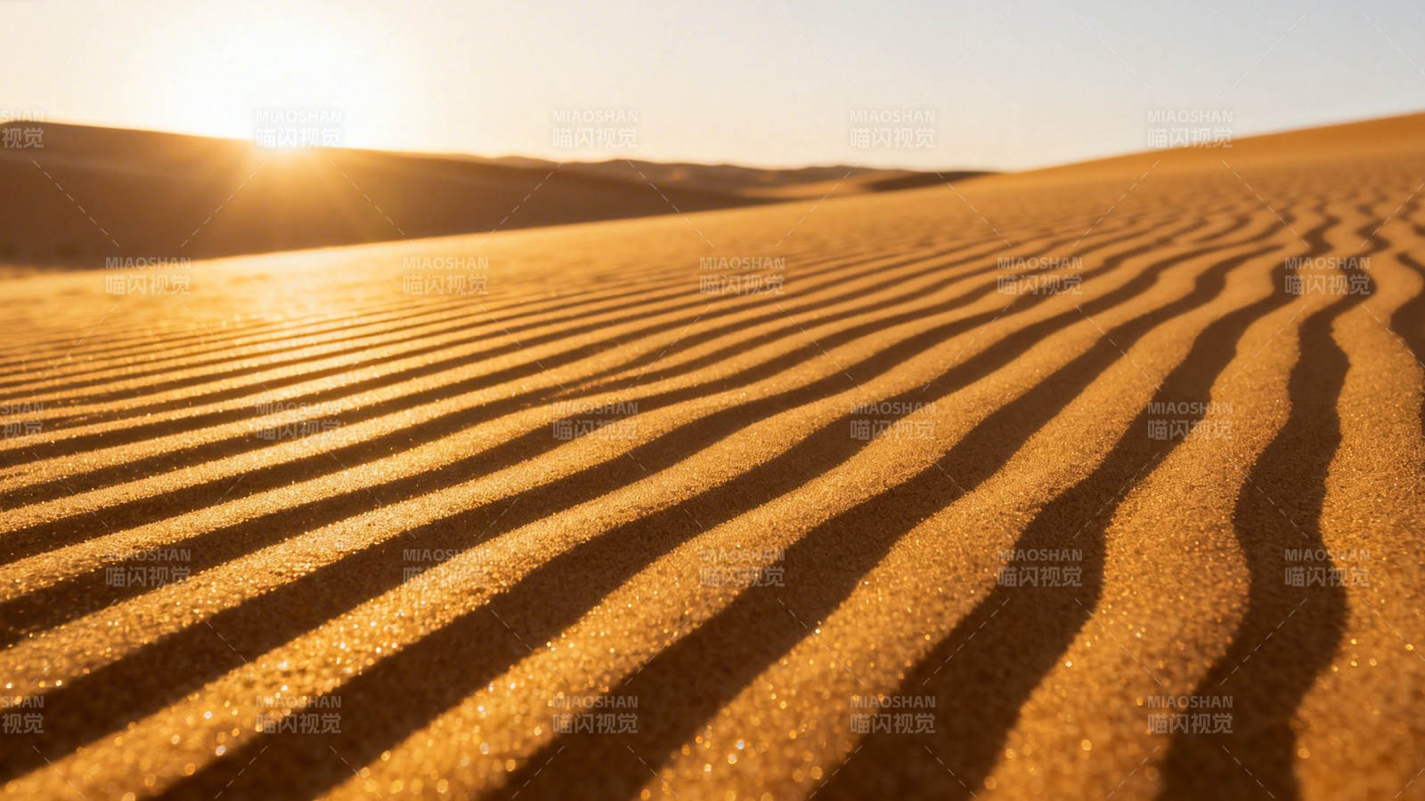 沙漠金浪 夕阳如画图片