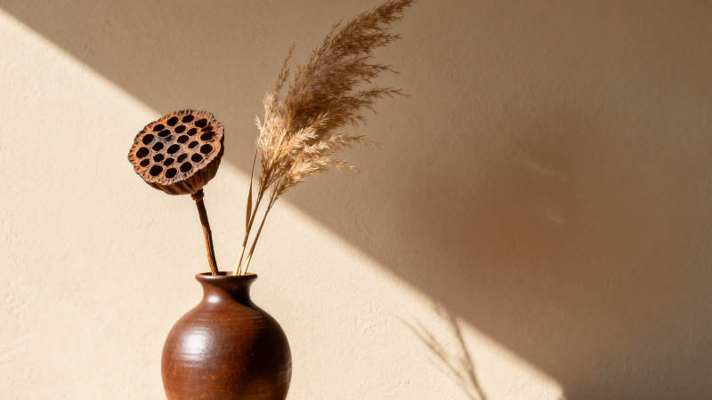 枯莲芦苇伴陶瓶 光影静美图片