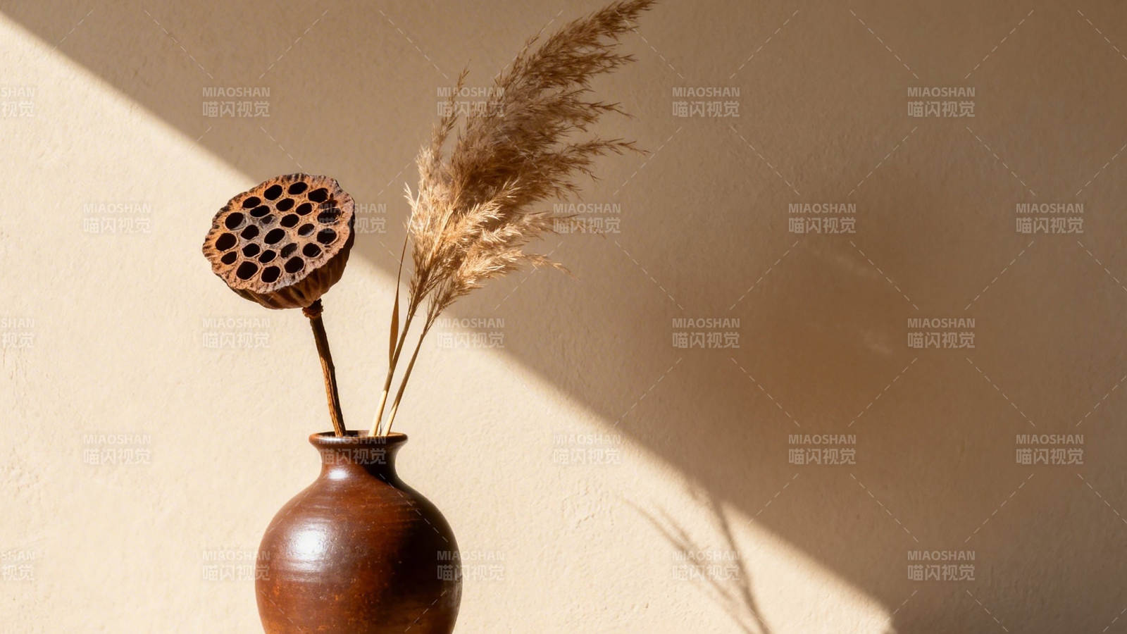 枯莲芦苇伴陶瓶 光影静美图片