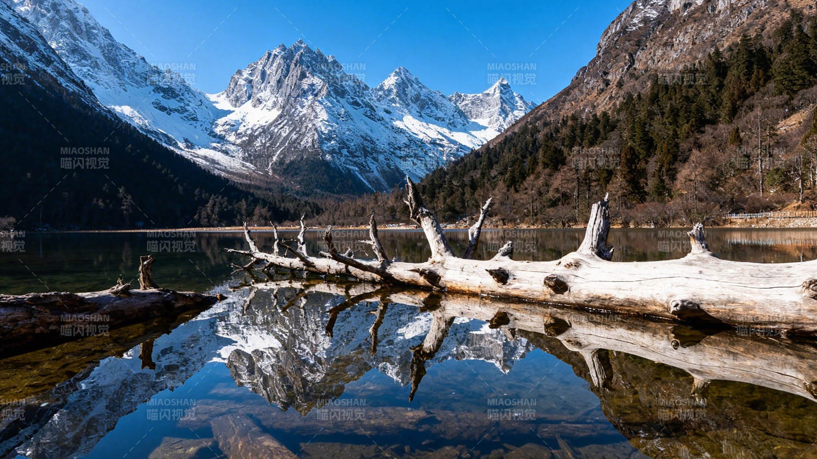 雪山倒影湖中静美如画图片