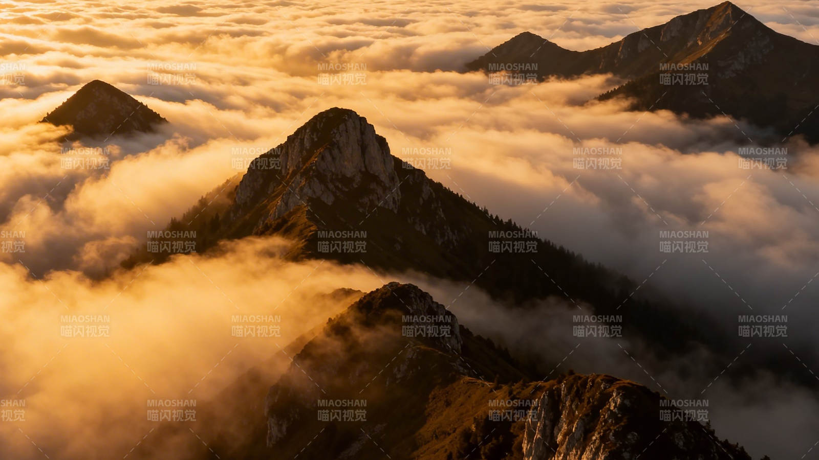 云海金山 峰峦隐现图片