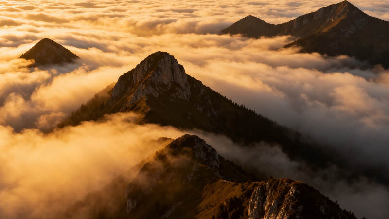 云海金山 峰峦隐现图片