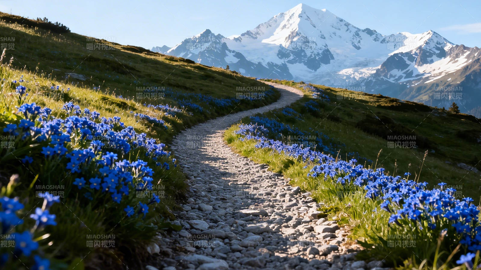 花径通雪山 蓝花伴石路图片