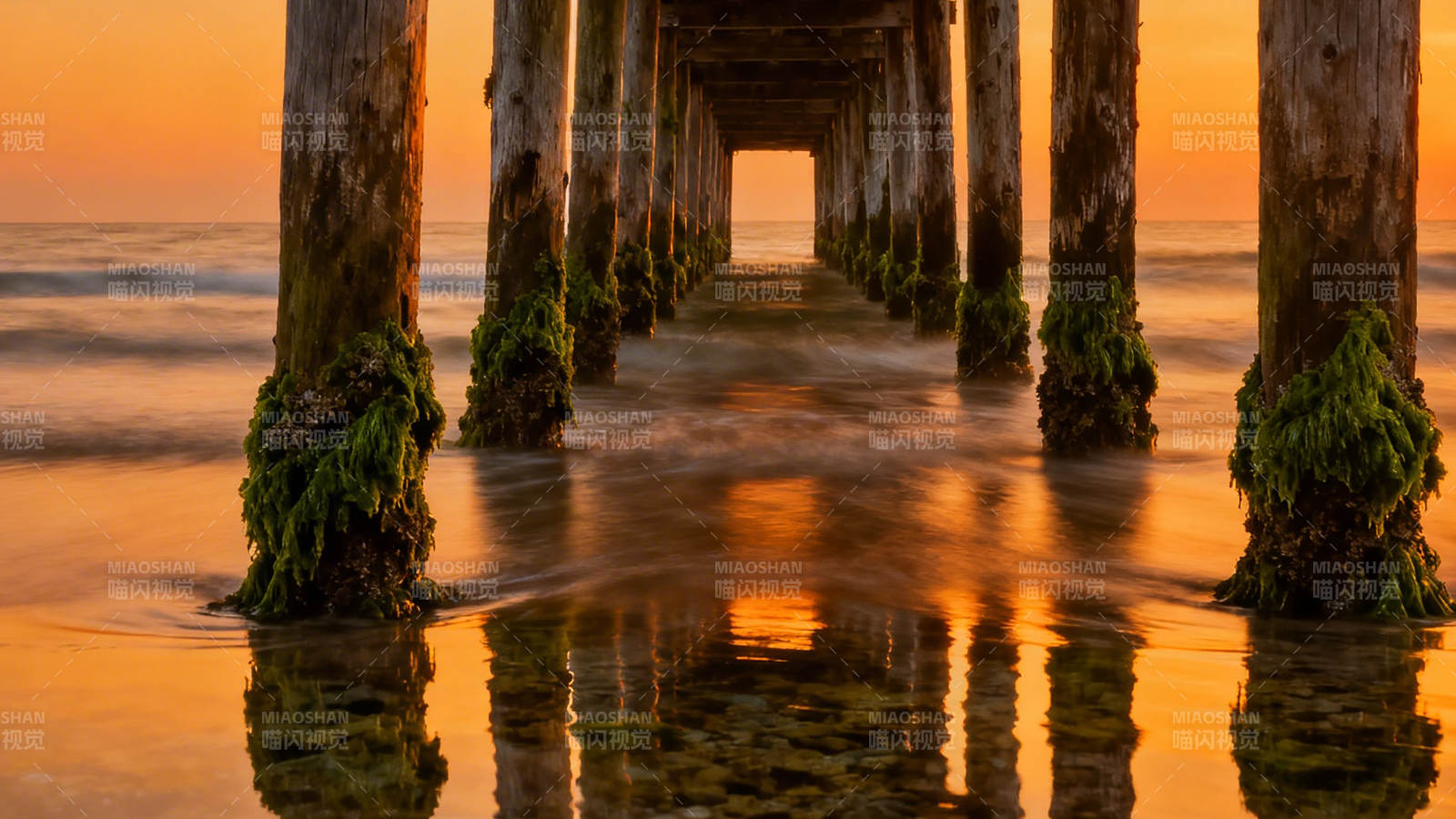 夕阳栈桥 水影如金图片