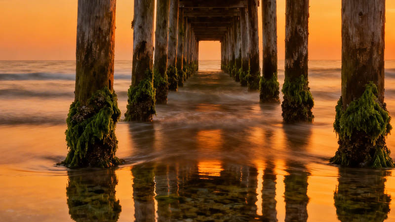 夕阳栈桥 水影如金图片