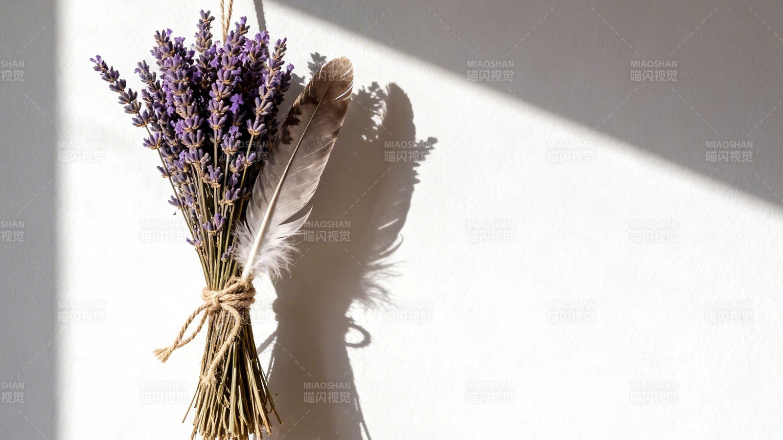 薰衣草束与羽毛光影静物图片