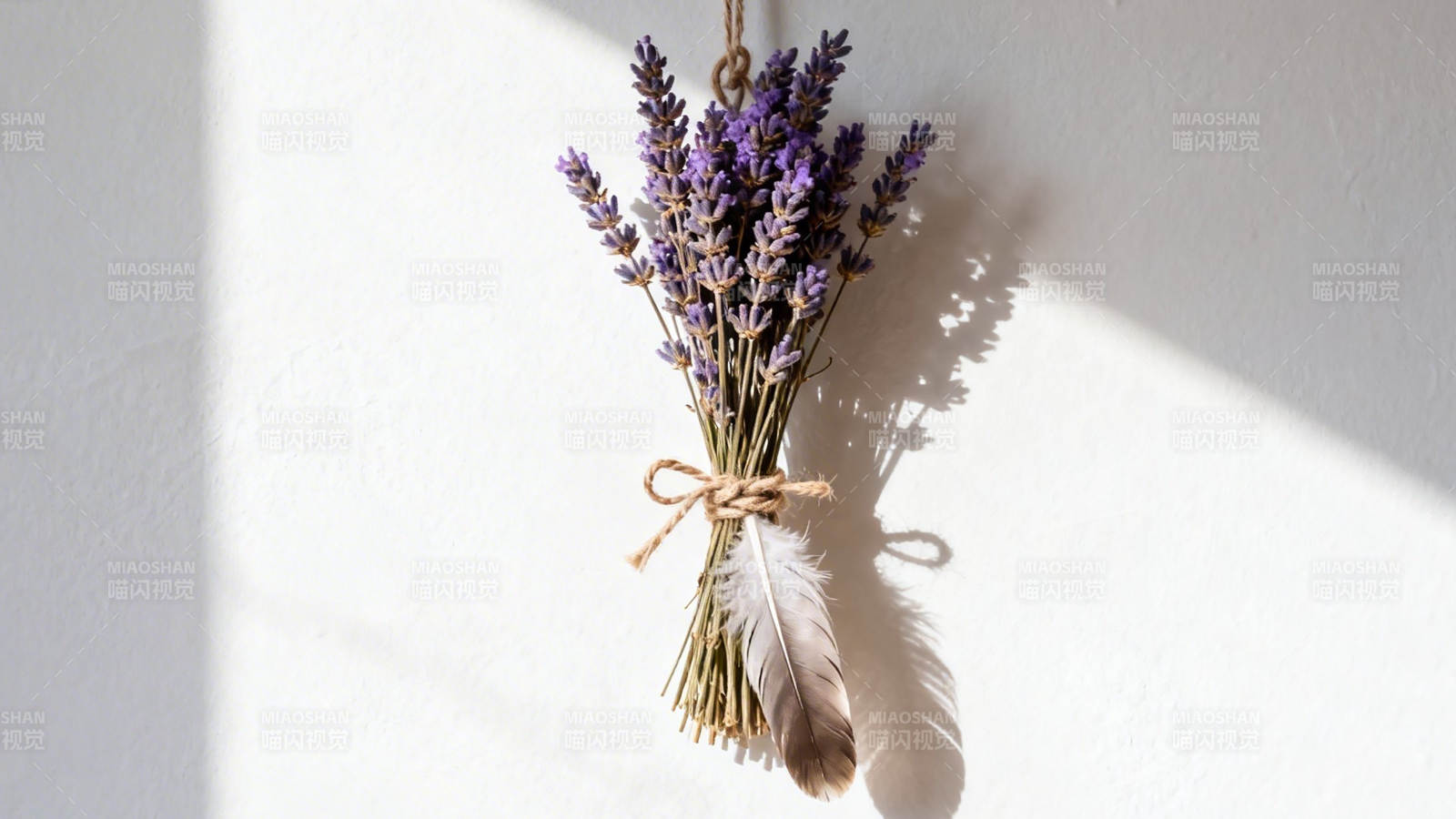 薰衣草束挂墙 光影温柔图片