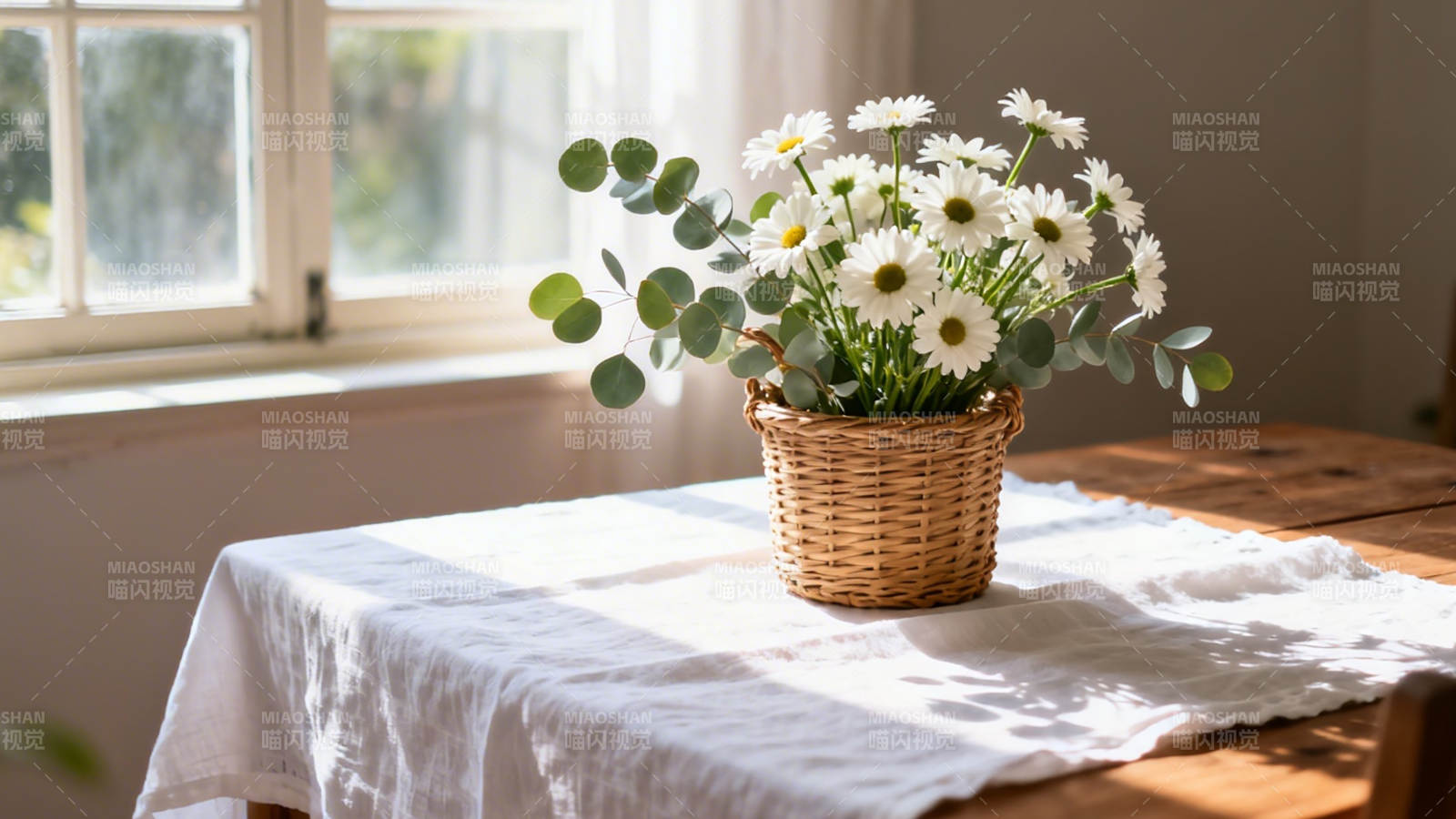 窗边雏菊篮 阳光洒桌布图片