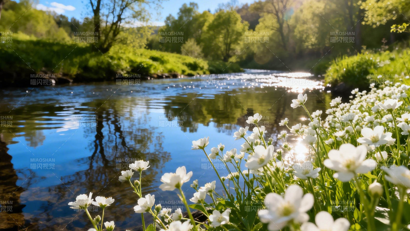 春日溪畔白花映水光图片