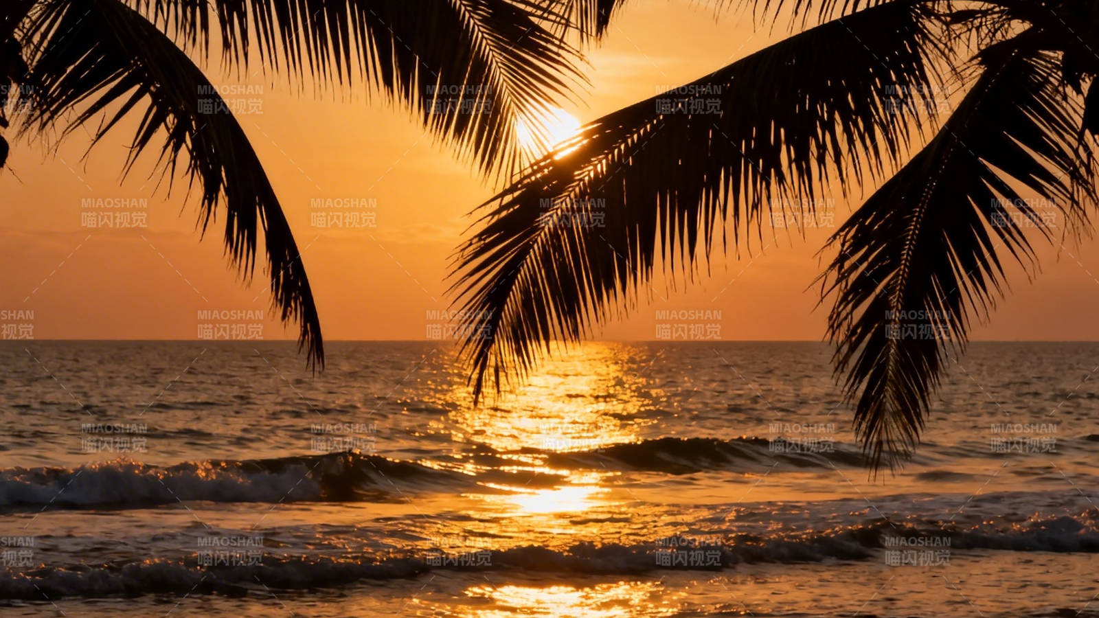 椰影夕阳 金辉洒海面图片