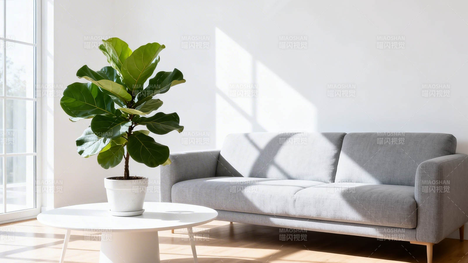 阳光客厅 绿植沙发静景图片