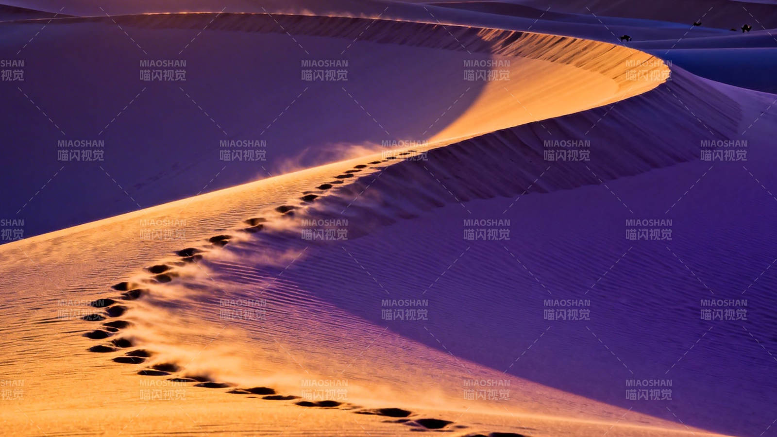 沙丘足迹 光影如诗图片