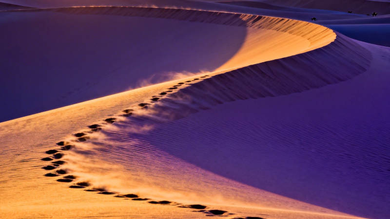 沙丘足迹 光影如诗图片